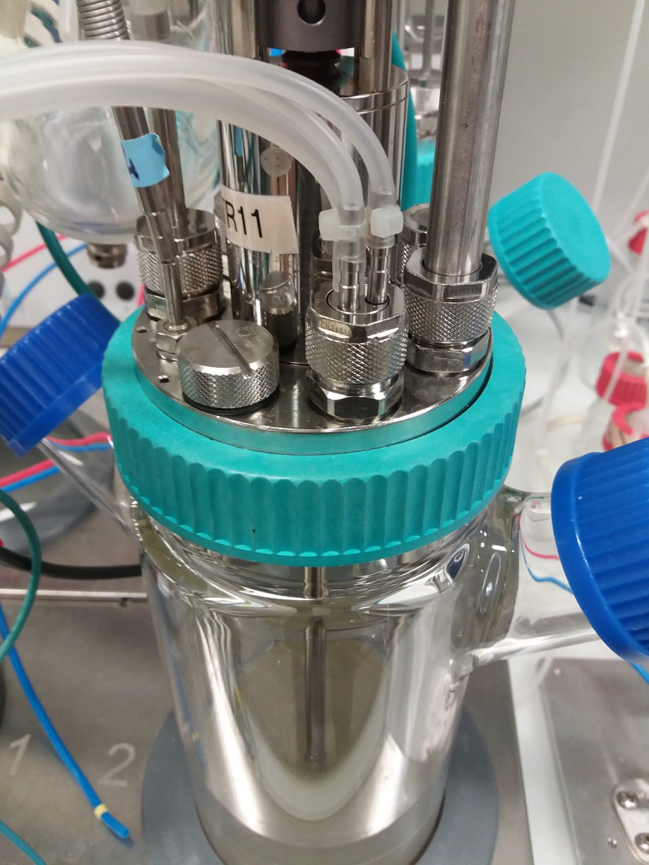 Bioreactor