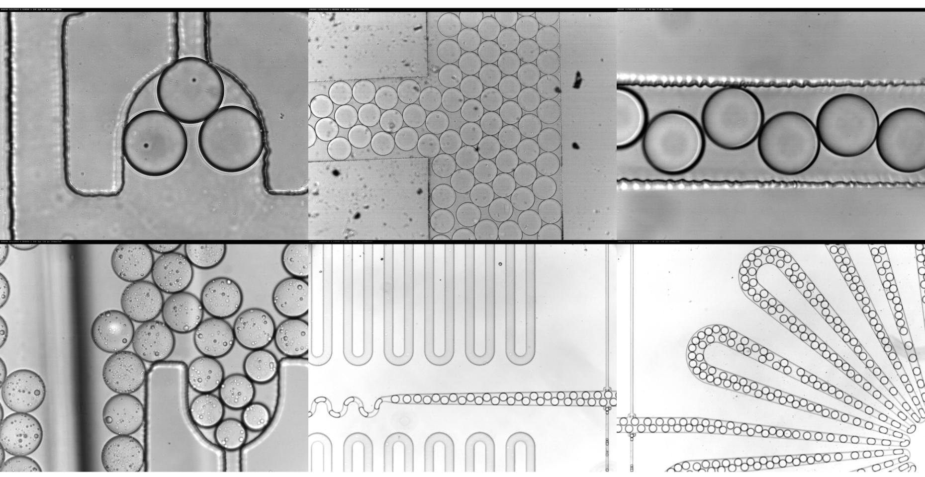 Droplets_Microfluidics