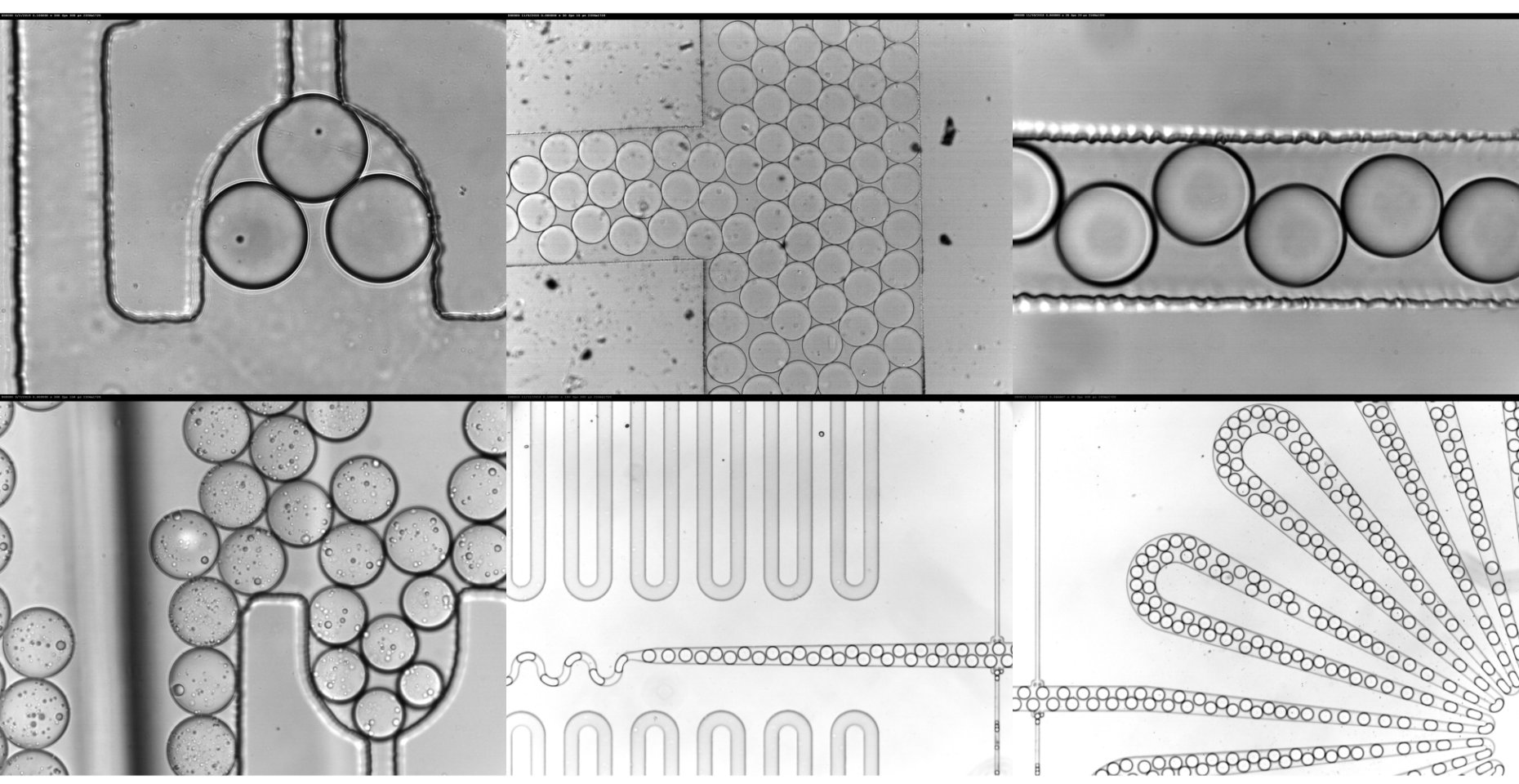 eth zurich microfluidics