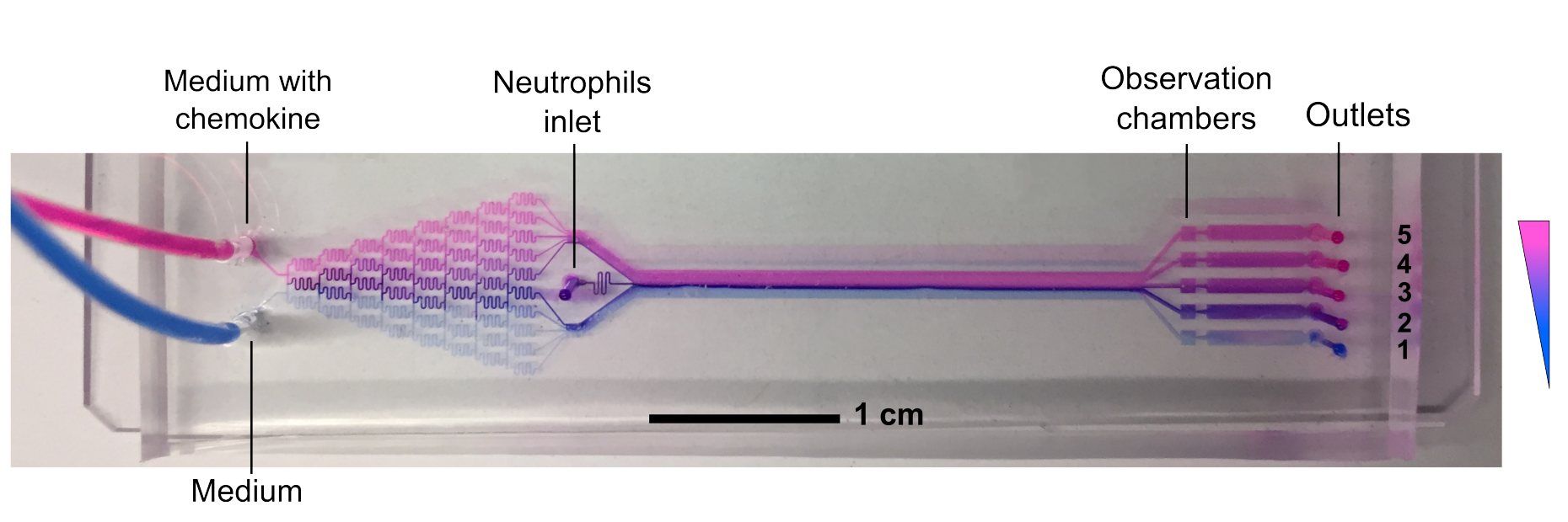 eth zurich microfluidics